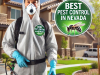 Pest Control in Nevada | Pigeon