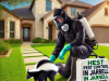 Pest Control in Jarrell | Skunk