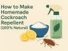 How to Make Homemade Cockroach Repellent (100% Natural)?