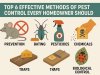 Top 6 Effective Methods of Pest Control Every Homeowner Should Know