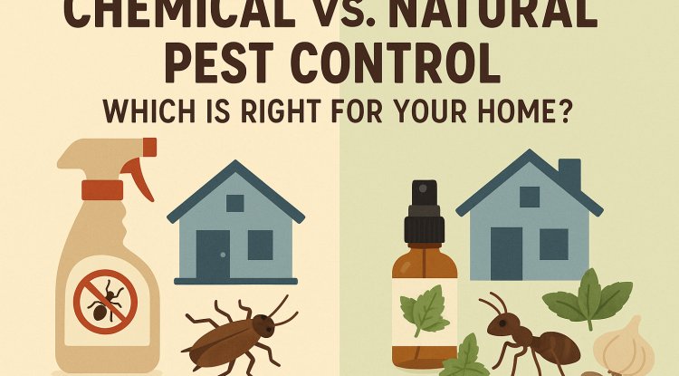Chemical vs. Natural Pest Control: What’s Best for Your Home?