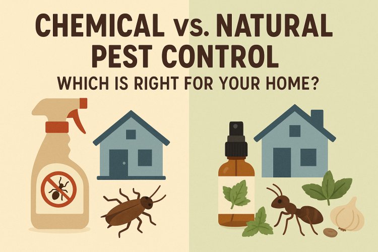 Chemical vs. Natural Pest Control: What’s Best for Your Home?