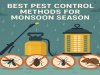 Best Pest Control Methods for the Monsoon Season