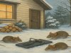 Winter Pest Control Tips to Protect Your Home