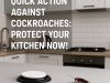 What to Do If You Find a Cockroach in Your Kitchen: A Complete Guide