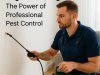 Bug-Free Living: The Power of Professional Pest Control