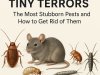 Tiny Terrors: The Most Stubborn Pests and How to Get Rid of Them
