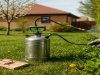 Spring Pest Control Methods for a Fresh Start