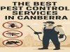 Top Pest Control Services in Canberra  – 2025 Update