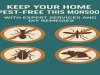 Keep Your Home Pest-Free This Monsoon with Experts