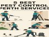 Top 5 Pest Control Services in Perth (2025 Guide)