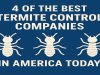 Top 4 Termite Control Companies in the U.S.