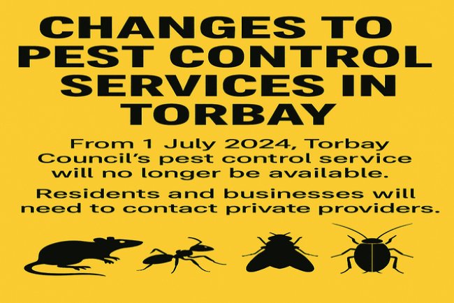 Torbay Ends Council Pest Control – What You Can Do