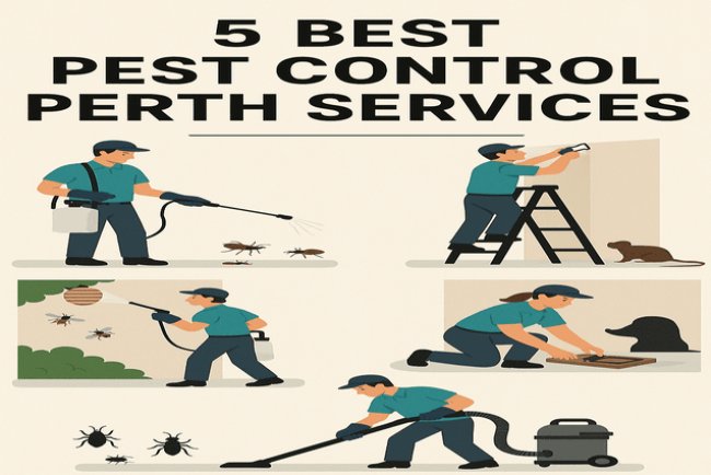 Top 5 Pest Control Services in Perth (2025 Guide)