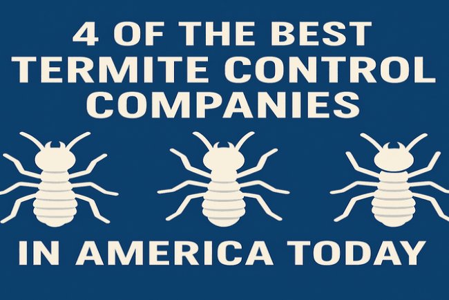 Top 4 Termite Control Companies in the U.S.
