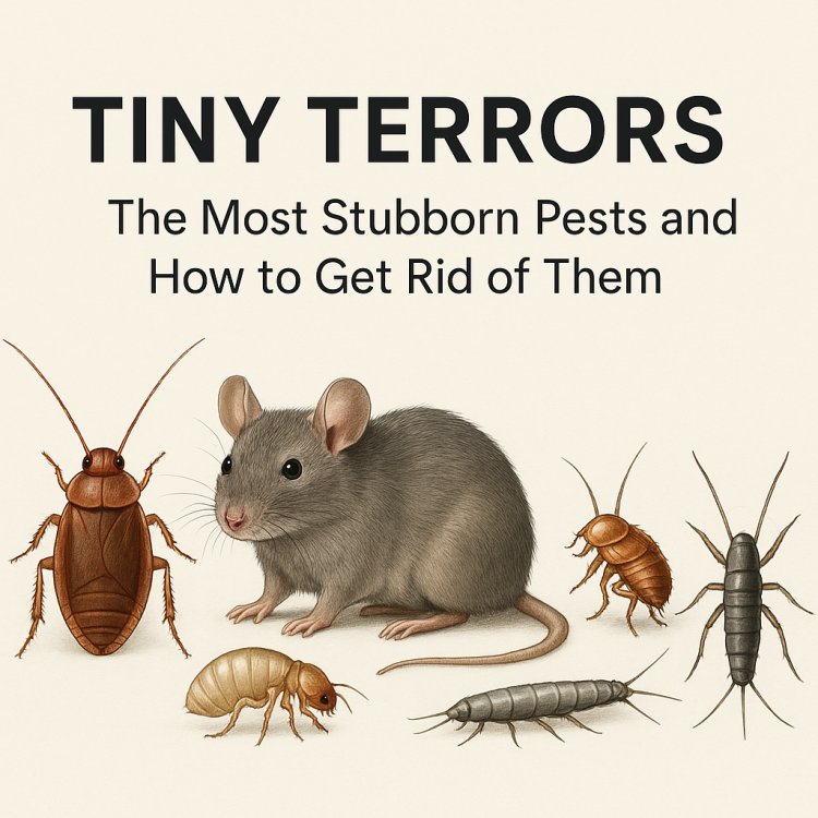 Tiny Terrors: The Most Stubborn Pests and How to Get Rid of Them
