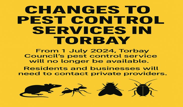 Torbay Ends Council Pest Control – What You Can Do