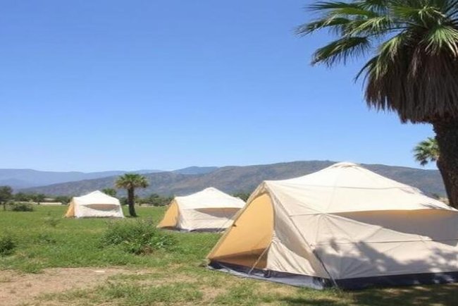 California’s Termite Tents and the Climate Cost