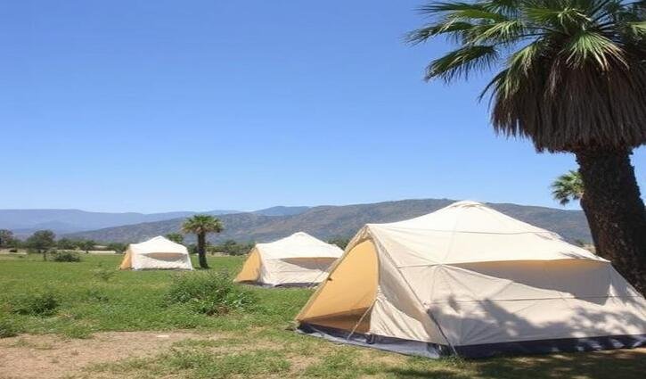 California’s Termite Tents and the Climate Cost
